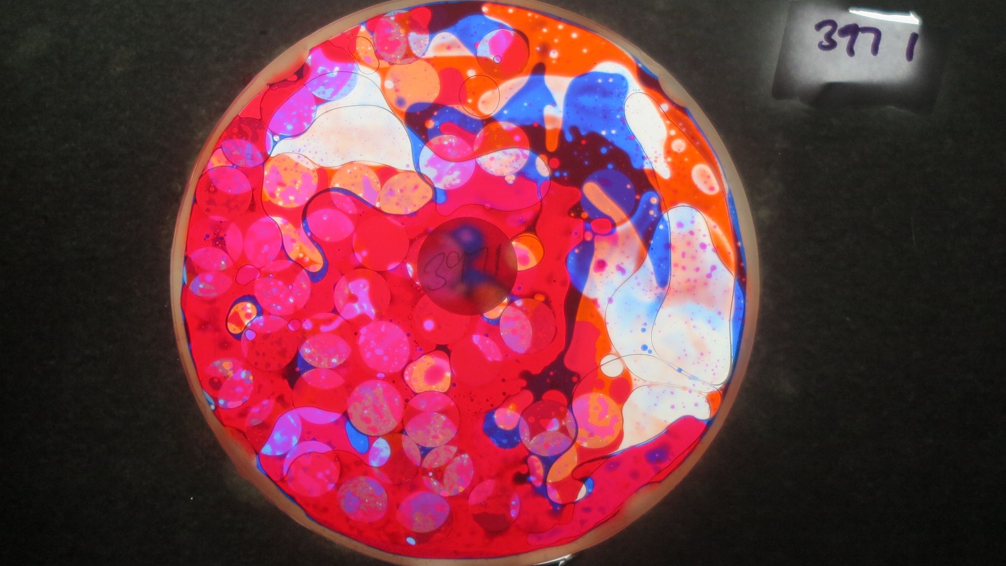 BV3971 bubble vision oil wheel